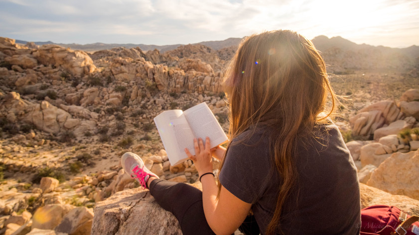 Qu’est-ce que tu lis pour les vacances ? #CHRONIQUEDUMYCELIUM