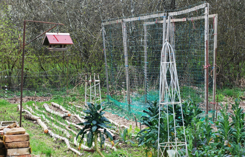 protéger la production de son jardin des animaux