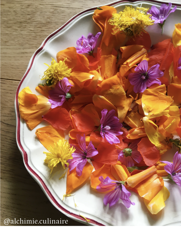 Fleurs de pavot, coquelicots, des mauves et des fleurs de pissenlit.
