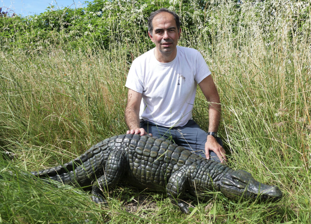 Sculpture d'un crocodile par Damien Colcombet