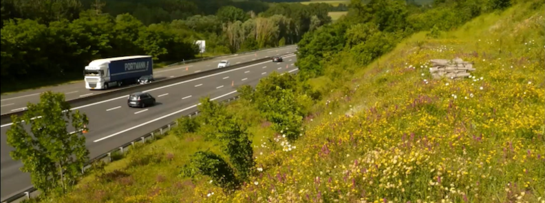 Ecologue autoroute