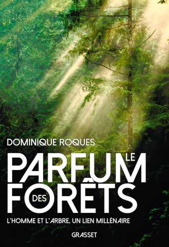Dominique Roques Forêt Arbres