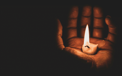 Mémoire, mort et transmission : récits d’un métier qui éclaire nos origines – Grégoire Deshoulières, généalogiste successoral