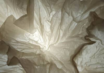 Éveiller les consciences, une feuille à la fois : l’odyssée de Junior Fritz Jacquet